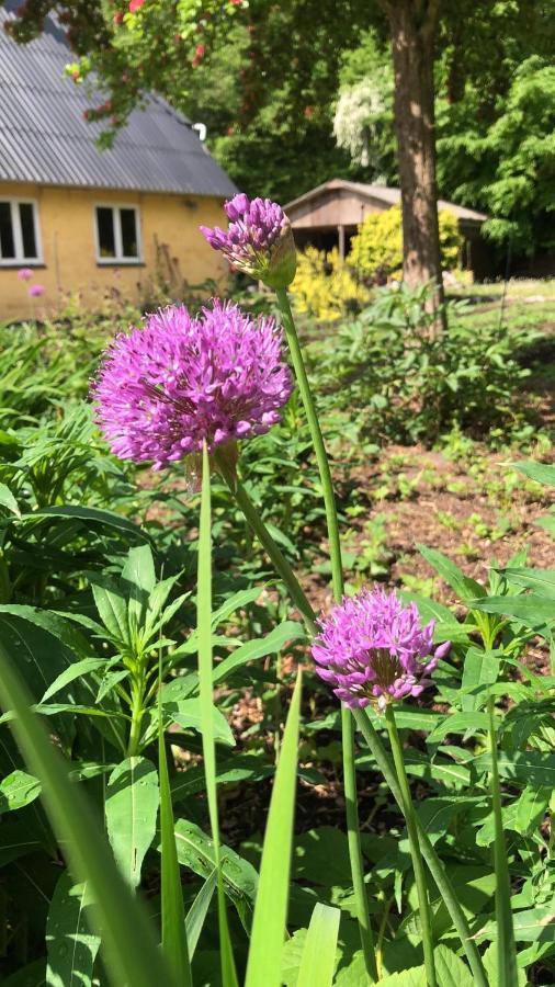 Skovfogedhuset Abildskov (Broby) Екстериор снимка